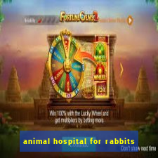 animal hospital for rabbits